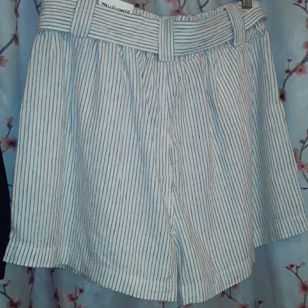 Shorts - Picture 2 of 2